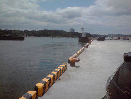 外道　ゴンズイ多い